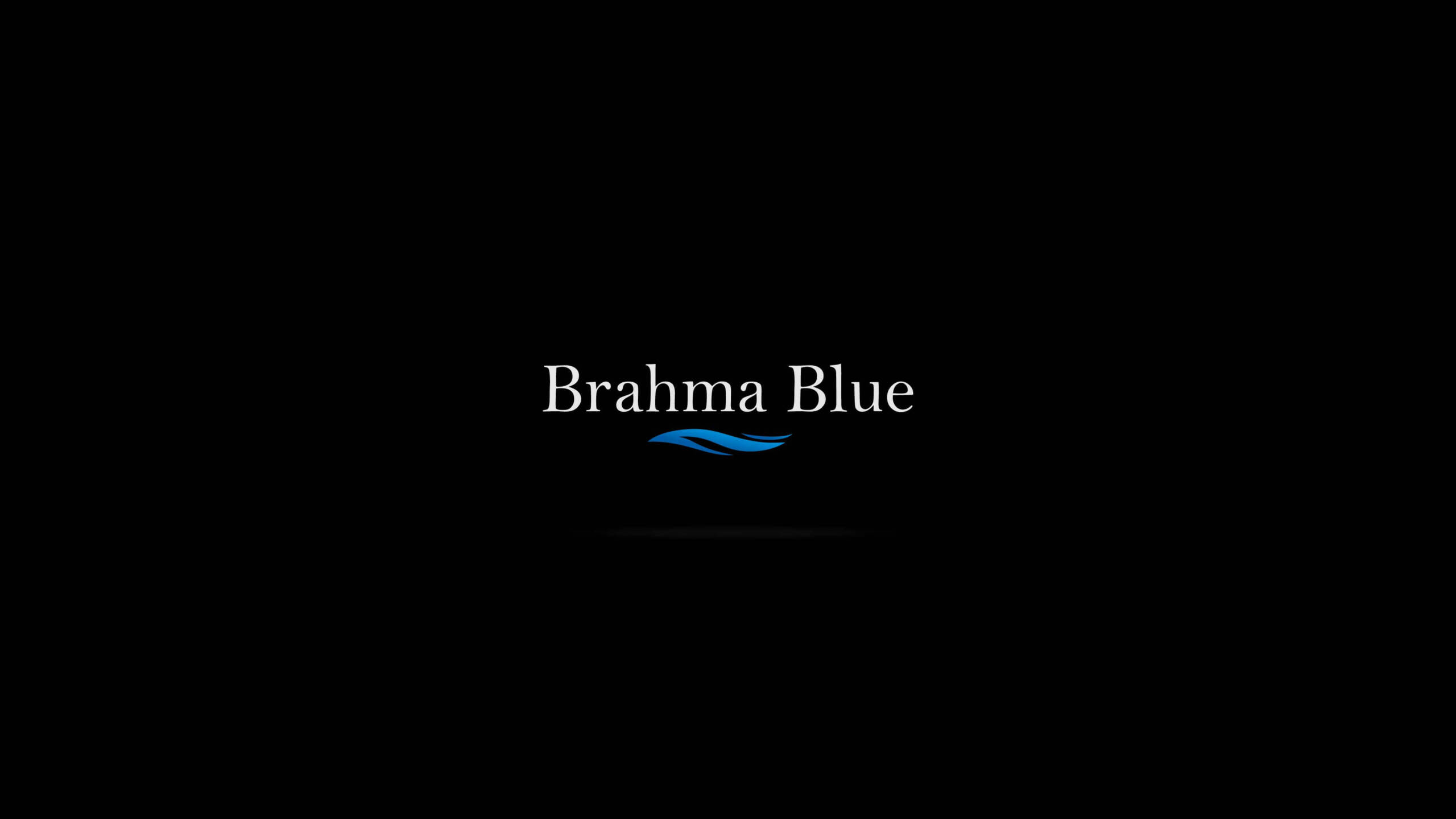Brahma Blue Resorts